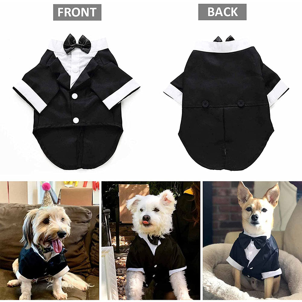 Dapper Dog Tuxedo