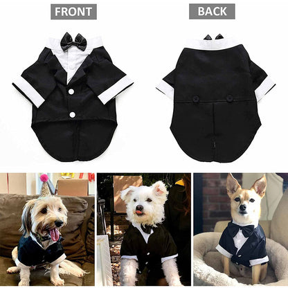 Dapper Dog Tuxedo