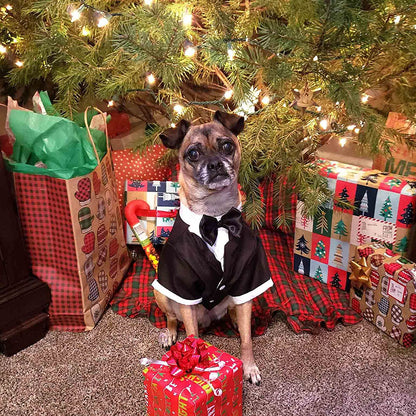 Dapper Dog Tuxedo