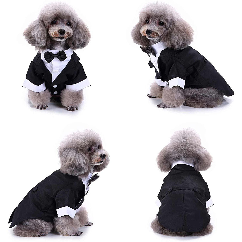 Dapper Dog Tuxedo