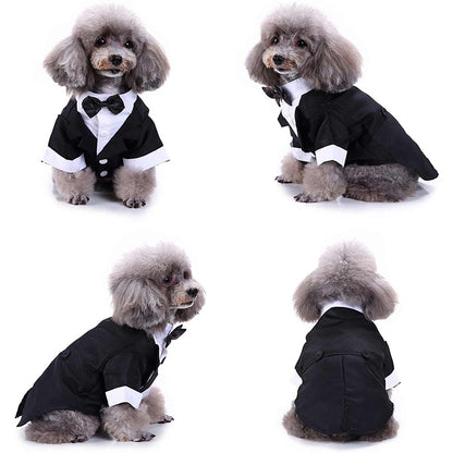 Dapper Dog Tuxedo
