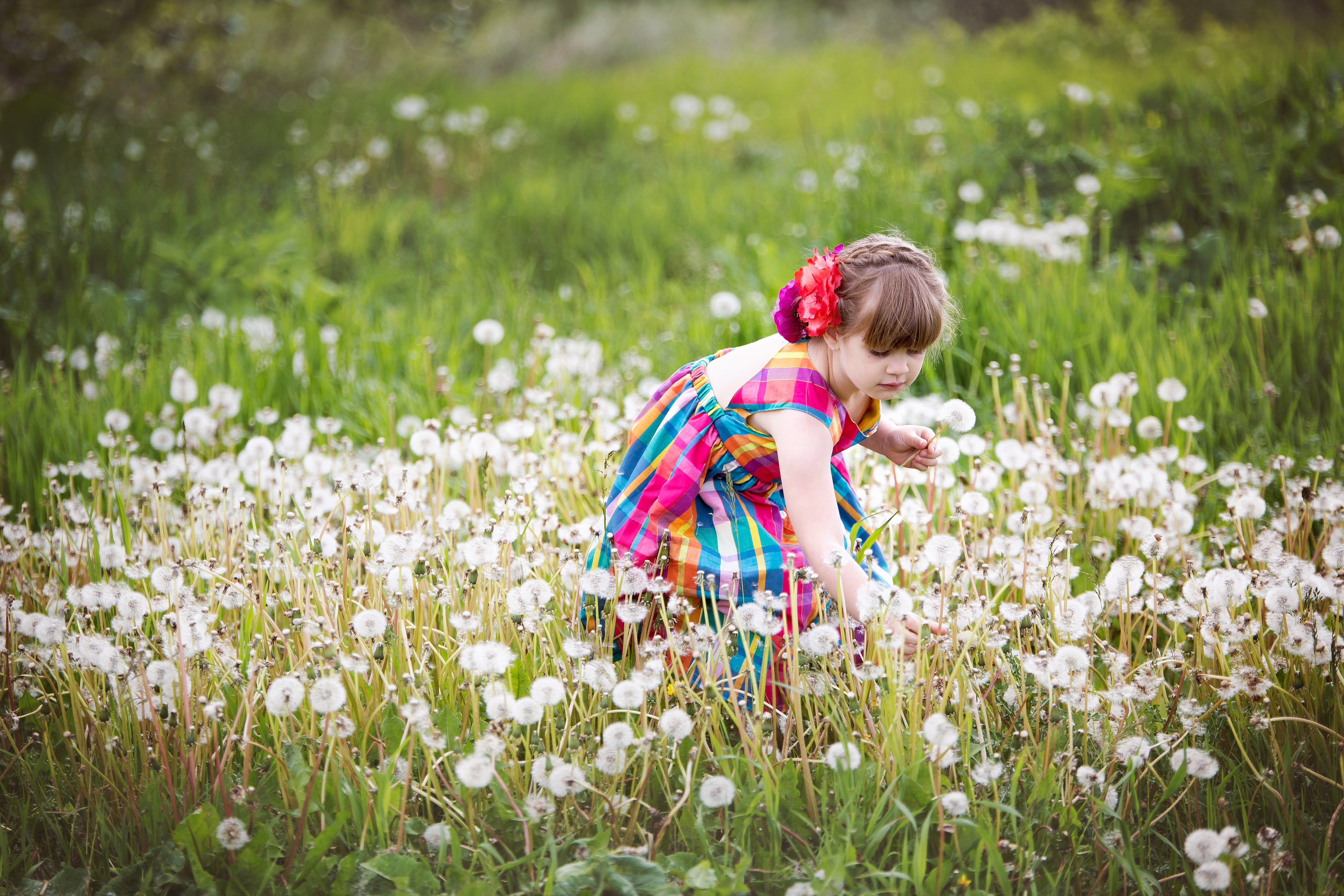 files/child-picking-dandelions-in-field.jpg