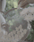 Fall SALE: Heart Guest Book + FREE Cake Topper